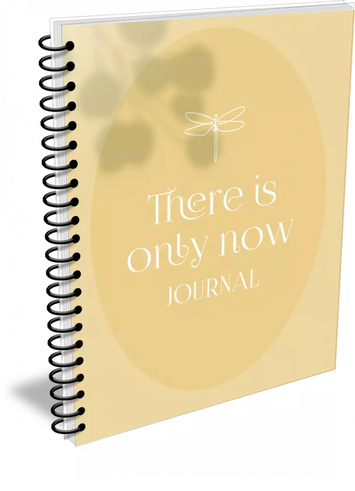 personal development living in the now plr journal