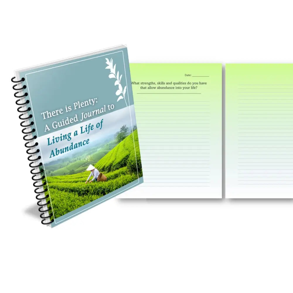 there is plenty plr guided journal