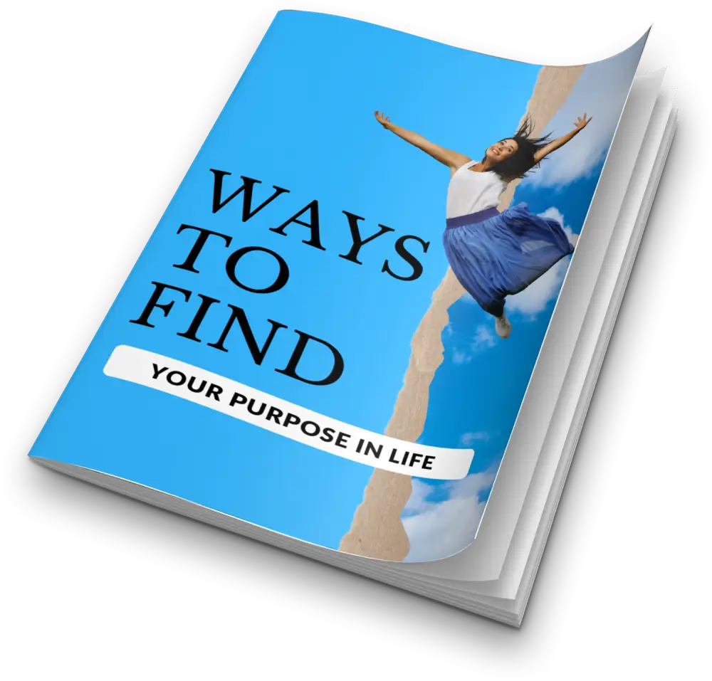Finding Purpose 3D Report Cover